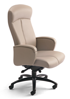 d109 - Posh Ergo Management Chair - Lots of options and upholstery choices