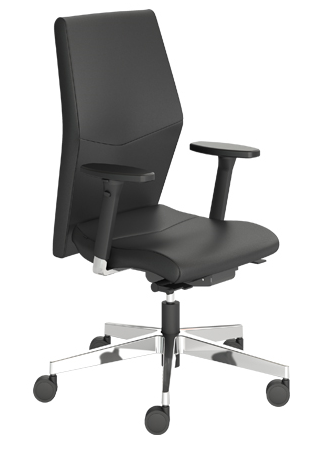 d110 - modern ergonomic chair with adjustable arm rests